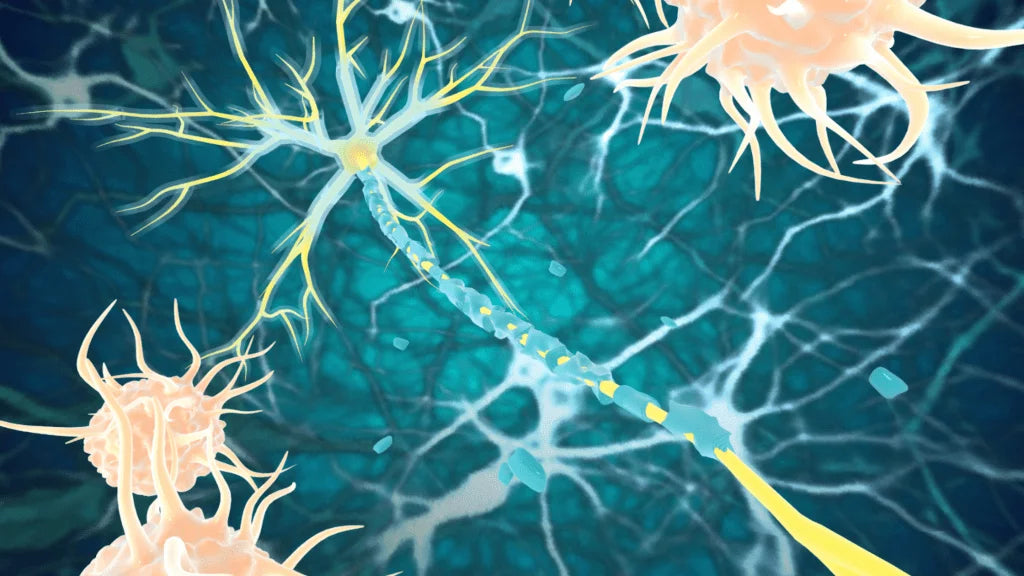 The Power of BCP in Managing Autoimmune Conditions