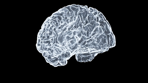 New Study: BCP May Help Radiation Work Better in Glioblastoma (Aggressive Brain Cancer)